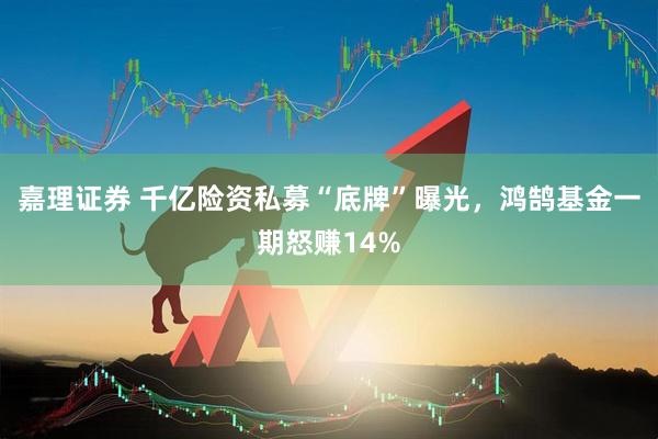 嘉理证券 千亿险资私募“底牌”曝光，鸿鹄基金一期怒赚14%