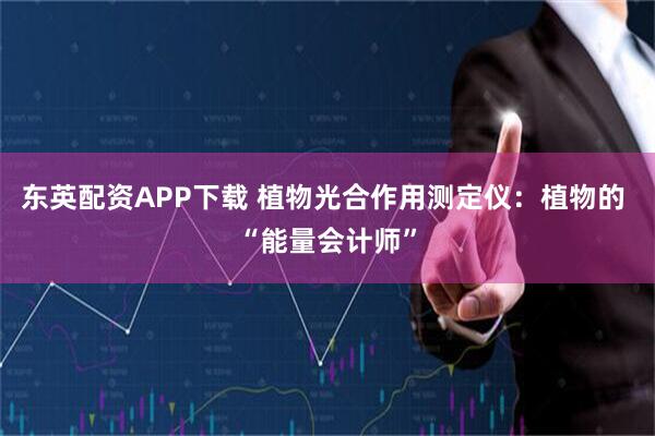东英配资APP下载 植物光合作用测定仪：植物的 “能量会计师”