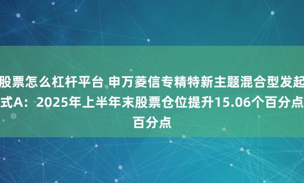 股票怎么杠杆平台 申万菱信专精特新主题混合型发起式A：2025年上半年末股票仓位提升15.06个百分点