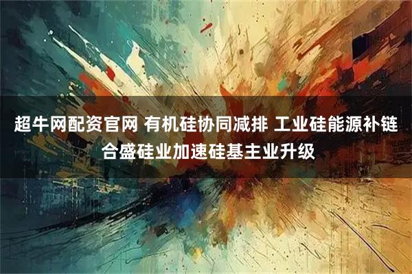 超牛网配资官网 有机硅协同减排 工业硅能源补链 合盛硅业加速硅基主业升级